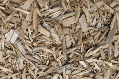 biomass boilers Coundon